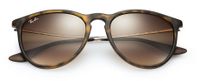 Ray-Ban Erika Classic zonnebril Ovaal