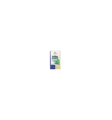 Brandnetel thee bio