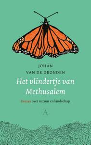 Het vlindertje van Methusalem (Paperback)