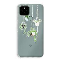 Hang In There: Google Pixel 5 Transparant Hoesje