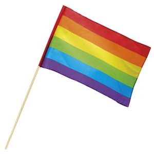 Zwaaivlag regenboog 76cm