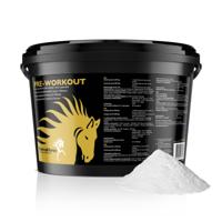 Pre workout paard