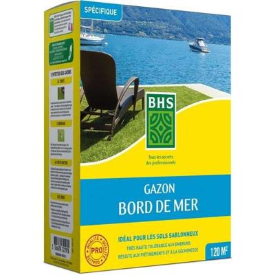 Gazon - BHS - Seaside Lawn 3kg | Bestand tegen wind, droogte en zout | Prachtig, aantrekkelijk en robuust zomergazon.
