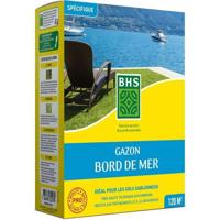 Gazon - BHS - Seaside Lawn 3kg | Bestand tegen wind, droogte en zout | Prachtig, aantrekkelijk en robuust zomergazon.