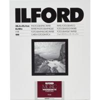Ilford Multigrade RC Portfolio 44k Pearl 17,8x24 100 vellen