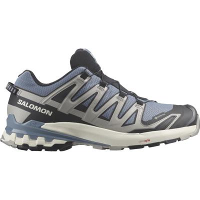 Salomon Xa Pro 3D V9 Gtx Lage Wandelschoen Heren Flint Stone/Black/Ghost Grey 9 (43)