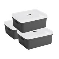 Sunware opbergbox - 3x stuks - 24 liter - antraciet - kunststof - transparante deksel - 45x35x18 cm