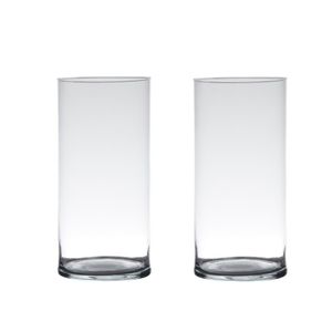 Set van 2x stuks transparante home-basics cylinder vaas/vazen van glas 25 x 12 cm