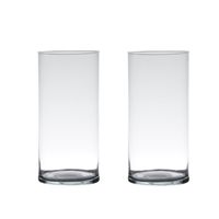 Set van 2x stuks transparante home-basics cylinder vaas/vazen van glas 25 x 12 cm