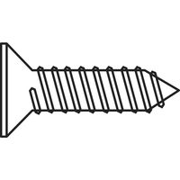 TOOLCRAFT 194665 HC2,9*9,5 D7982:A2K Verzonken plaatschroeven 2.9 mm 9.5 mm Kruiskop Phillips DIN 7982 Staal Verzinkt 100 stuk(s) - thumbnail