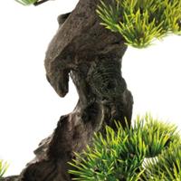 Sf deco bonsai xl - Superfish