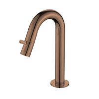 Toiletkraan Best Design Dijon 1-draaiknop Gebogen 21 cm Brons