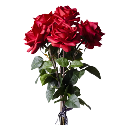 The Valentine - small The Valentine - small