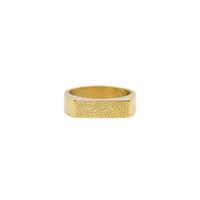 Gepersonaliseerde neusafdruk bar ring - Stainless steel - Goud - Ringmaat 16