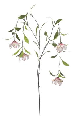 Dishgyi hanging spray x4 peach 150 cm - Emerald