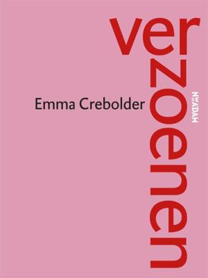 Verzoenen (Paperback)