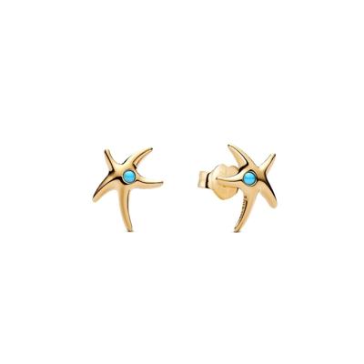 Dames oorbellen Pandora 263820C01