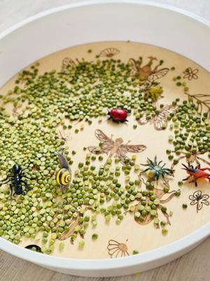 Kiddi PlayPlate Insecten