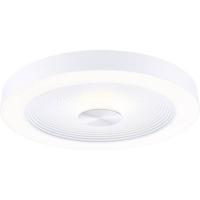 Paulmann 71179 Volea LED-plafondlamp LED 4 W, 18.5 W Wit, Zilver