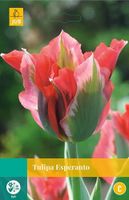 Tulipa Esperanto 5 bollen - JUB