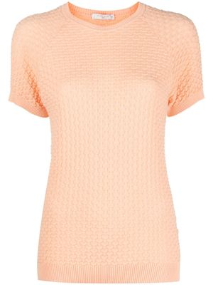 Circolo 1901 t-shirt en coton à manches courtes - Orange