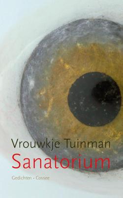 Sanatorium (Paperback)