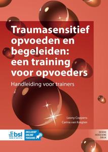 Traumasensitief opvoeden en begeleiden: een training voor opvoeders (Paperback)