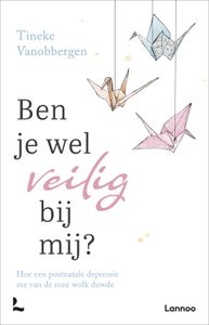 Ben je wel veilig bij mij? - Tineke Vanobbergen - ebook