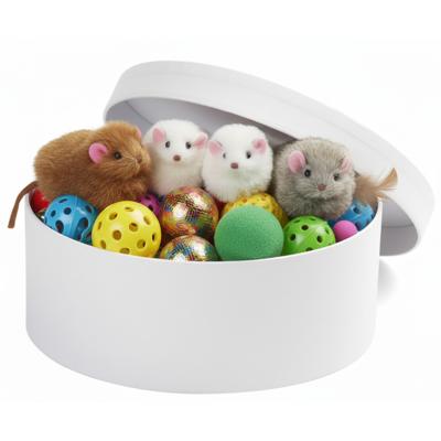 Ronde witte hobby knutsel doos - dozen van karton - 14.5 x 5.5 cm - Hoedendoos - cadeauverpakking
