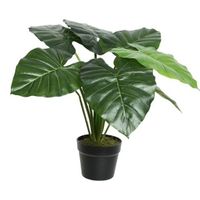 Groene Colocasia/taro kunstplant 52 cm in zwarte pot