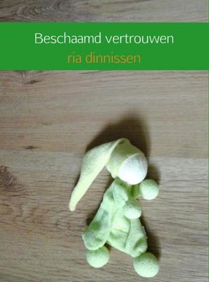 Beschaamd vertrouwen - Ria Dinnissen - ebook