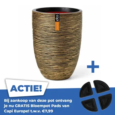 Vaas eleg laag rib d36xh47 zwart gd