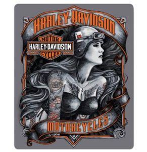 Harley-Davidson Biker Babe Harten Aas Metalen Bord Met Reliëf