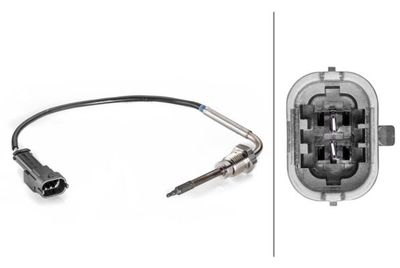 Sensor, uitlaatgastemperatuur 6PT014494371