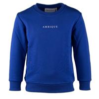 Sweater Kris Cobalt