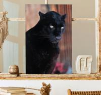 3D canvas schilderij Luipaard stalking
