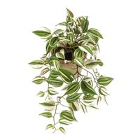 Groene Tradescantia/vaderplant kunstplant 50 cm in pot   - - thumbnail