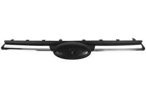 Radiateurgrille 6502072508991P