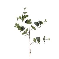 Kunstbloem Eucalyptus Cinerea groen L