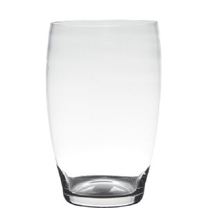 Transparante home-basics vaas/vazen van glas 20 x 15 cm Naomi