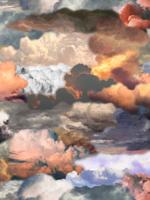 Moooi Carpets - Walking on Clouds Dusk - 350x350 cm Vloerkleed