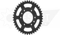 ESJOT Chain wheel 520 41z steel black