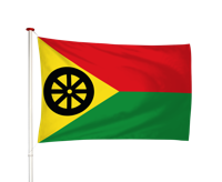 Vlag Zwaagwesteinde - De Westerein (fr)