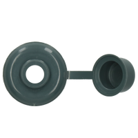 pgb-Europe PGB-FASTENERS | Afdekdop houtdraadbout Ø 5 5,9x20/R7031 AFD571N00005070315