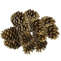 Decoratie dennenappels - 16x stuks - goud - 6/7 cm