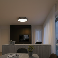 Lyora PlafondlampAlbi grijs Ø 41cm - 8105615