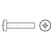 TOOLCRAFT TO-5431203 Lenscilinderschroeven M5 30 mm Kruiskop Pozidriv Staal Galvanisch verzinkt 1000 stuk(s) - thumbnail