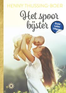 Het spoor bijster (Paperback)