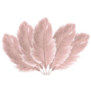 Struisvogelveren/sierveren - 5x - oud roze - 20-25 cm - decoratie/hobbymateriaal   -