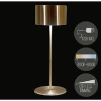 Anna's Collection Oplaadbare tafellamp usb goud 8x22cm